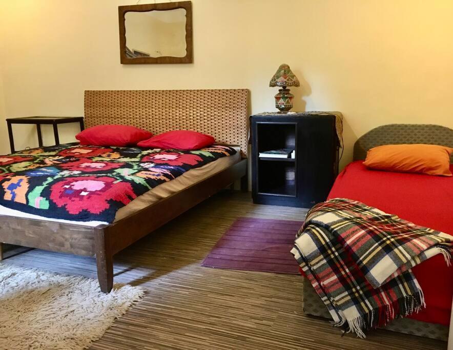 Vintage Studio Apartment, Garden And Free Parking Βουδαπέστη Εξωτερικό φωτογραφία
