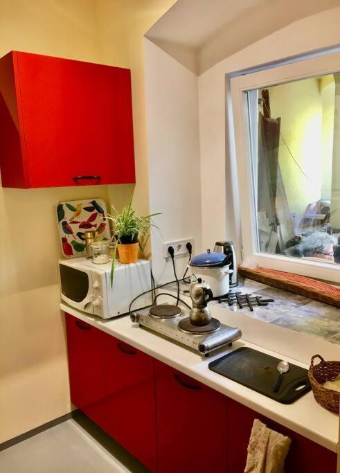 Vintage Studio Apartment, Garden And Free Parking Βουδαπέστη Εξωτερικό φωτογραφία
