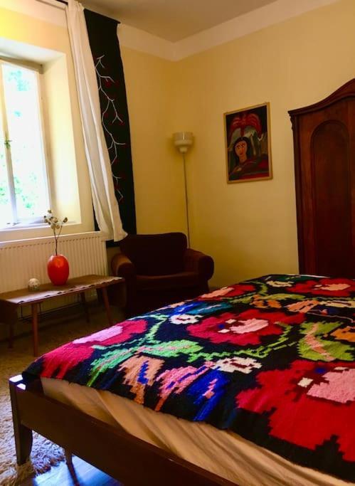 Vintage Studio Apartment, Garden And Free Parking Βουδαπέστη Εξωτερικό φωτογραφία