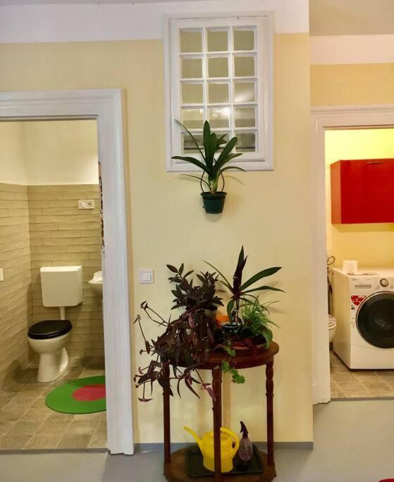 Vintage Studio Apartment, Garden And Free Parking Βουδαπέστη Εξωτερικό φωτογραφία