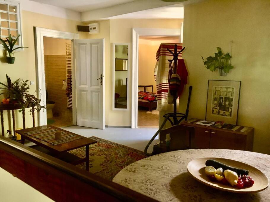 Vintage Studio Apartment, Garden And Free Parking Βουδαπέστη Εξωτερικό φωτογραφία