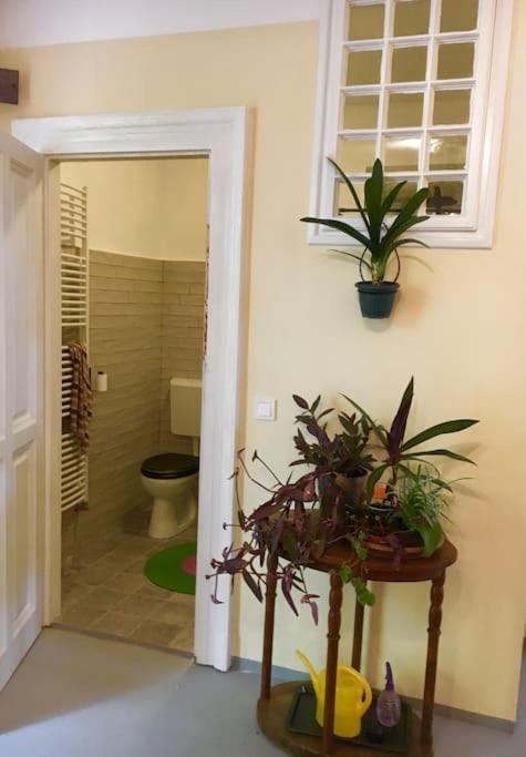 Vintage Studio Apartment, Garden And Free Parking Βουδαπέστη Εξωτερικό φωτογραφία